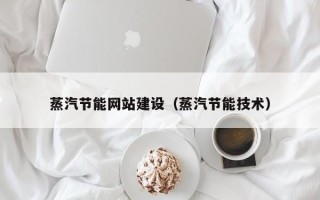沧州蒸汽节能网站建设（蒸汽节能技术）